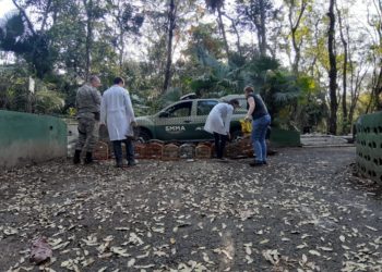 Guarda Ambiental de Volta Redonda faz apreensão de pássaros silvestres