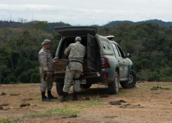 PMVR devolve a natureza pássaros silvestres apreendidos em operação