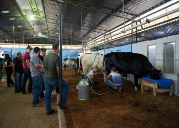 Torneio Leiteiro da Fumaça chega a mais uma edição neste final de semana