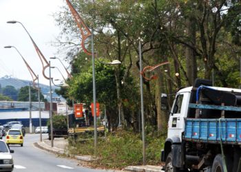 Volta Redonda realiza poda e plantio de árvores em revitalização da Beira Rio