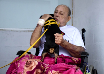 Paciente internado em hospital recebe visita de animal de estimação