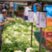 Feira Livre de Volta Redonda será na Vila neste sábado