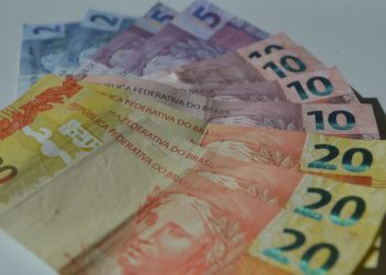 Em cinco meses, 350 empresas simples de crédito são criadas no país