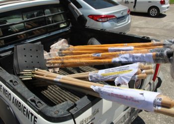 Cidades do Sul Fluminense vão receber suprimentos e equipamentos de combate a incêndios florestais﻿