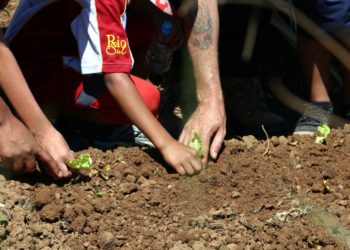 Barra Mansa + Sustentável e Ecológica é iniciado no distrito de Floriano