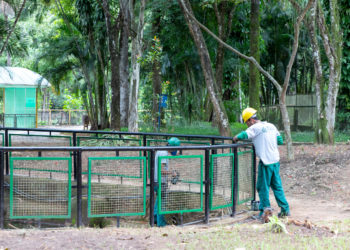 Reforma do Zoológico de Volta Redonda entra em fase de conclusão