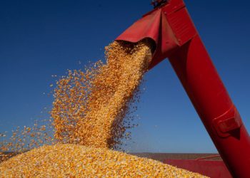 IBGE prevê altas de safra de 4,4% em 2020 e de 1,9% em 2021