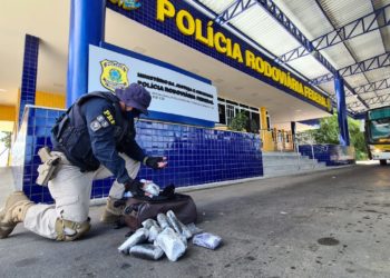 Passageiro de ônibus é flagrado pela PRF na Bahia com 14 mil comprimidos de ecstasy