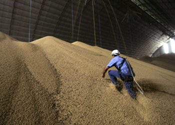 Conab: Brasil produzirá 265,9 milhões de toneladas de grãos