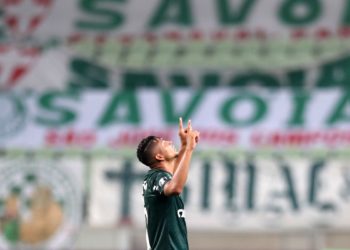 Após 20 anos, Palmeiras volta à final da Taça Libertadores