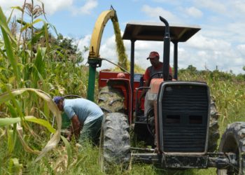 Prefeitura de Porto Real auxilia agricultores na coleta e silagem do milho