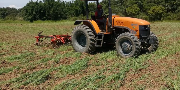 Prefeitura de Porto Real auxilia na preparação da terra dos produtores rurais