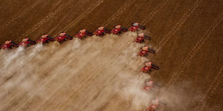 IBGE: safra de 2021 deve superar recorde de 2020