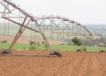 Balança comercial do agronegócio soma US$ 100,81 bilhões em 2020
