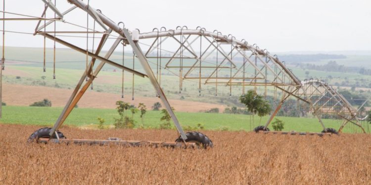 Balança comercial do agronegócio soma US$ 100,81 bilhões em 2020