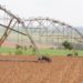 Balança comercial do agronegócio soma US$ 100,81 bilhões em 2020
