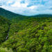Secretaria do Ambiente e Inea retomam atividades de monitoramento florestal