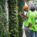 Resende amplia coleta seletiva de 25 para 45 localidades