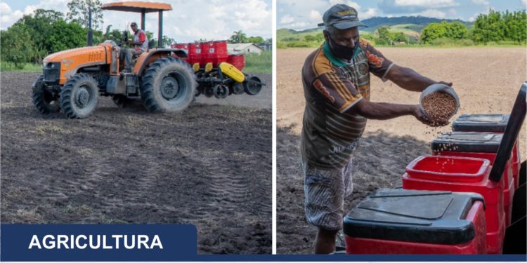 Agricultores de Porto Real recebem apoio da Prefeitura para fazer plantação