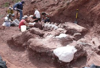 Titanossauro descoberto na Argentina é exemplar mais antigo da espécie