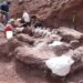 Titanossauro descoberto na Argentina é exemplar mais antigo da espécie