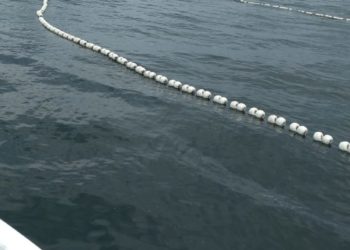 Pescadores são detidos por pesca de arrasto na APA Boto Cinza