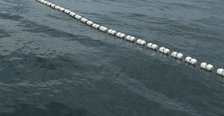 Pescadores são detidos por pesca de arrasto na APA Boto Cinza