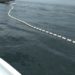 Pescadores são detidos por pesca de arrasto na APA Boto Cinza