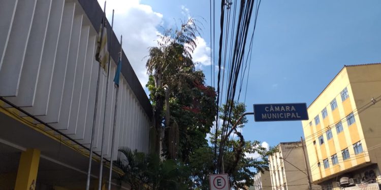 Neném segue com prevenção ao Covid-19.