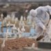 Covid-19: Brasil tem 3.241 mortes e 82.493 infectados em 24 horas
