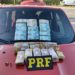 PRF apreende mais de 200 mil reais de origem ilícita em Seropédica