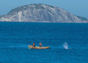 Brasil assina Declaração de Copenhague, de combate à pesca ilegal