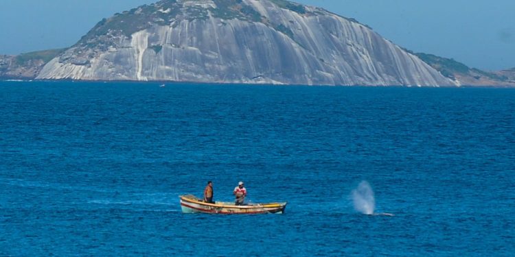 Brasil assina Declaração de Copenhague, de combate à pesca ilegal