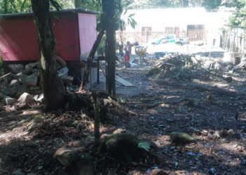 Homem vai responder por crime ambiental na Prainha de Mambucaba