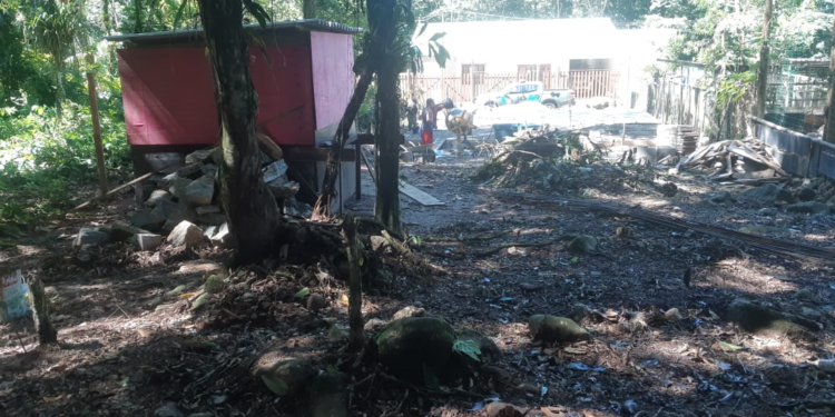 Homem vai responder por crime ambiental na Prainha de Mambucaba
