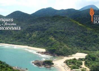 Parque Nacional da Serra da Bocaina será transferido para iniciativa privada