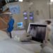Covid-19: Brasil tem 4.195 mortes registradas em 24 horas