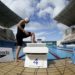 Seletiva de natação define vagas olímpicas de velocidade nesta quinta