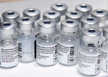 Covid-19: lote com 629 mil doses da vacina da Pfizer chega ao Brasil