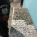 PM e P2 apreendem maconha e cocaína em área de mata no Beco do Val, no Santo Agostinho