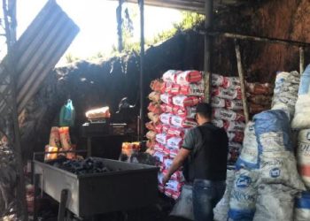 Fechada carvoaria clandestina por trabalho escravo e crime ambiental