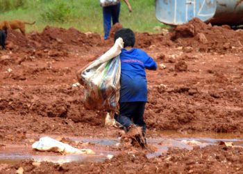 Trabalho infantil no mundo aumenta pela primeira vez em 20 anos