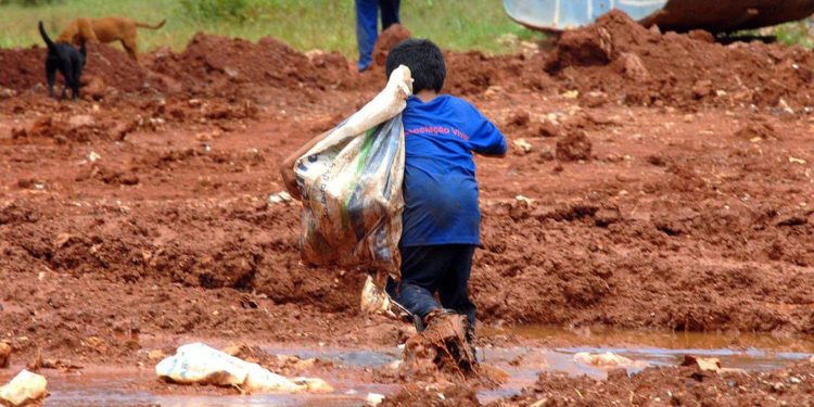 Trabalho infantil no mundo aumenta pela primeira vez em 20 anos