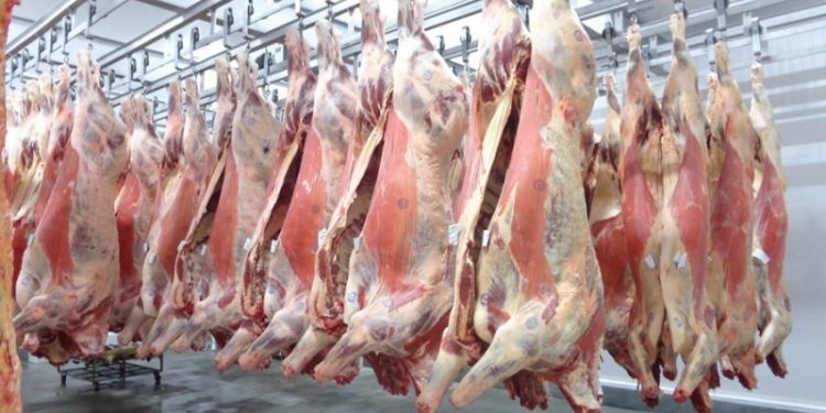 Abate de bovinos no primeiro trimestre tem menor nível desde 2009