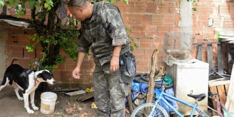 Maus tratos aos animais lideram as 600 denúncias recebidas pela Guarda Ambiental em Barra Mansa