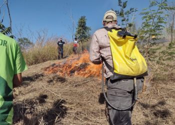 Dia Mundial do Meio Ambiente: Barra Mansa realiza treinamento de combate a incêndio