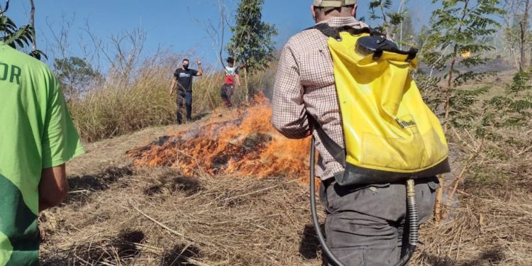 Dia Mundial do Meio Ambiente: Barra Mansa realiza treinamento de combate a incêndio