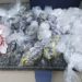 PRF e GM apreendem mais de 4 mil trouxinhas de maconha