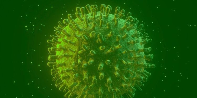 Covid-19: estudo diz que infectados podem gerar anticorpos permanentes