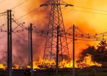 Light alerta: queimadas em áreas de vegetação podem danificar rede elétrica